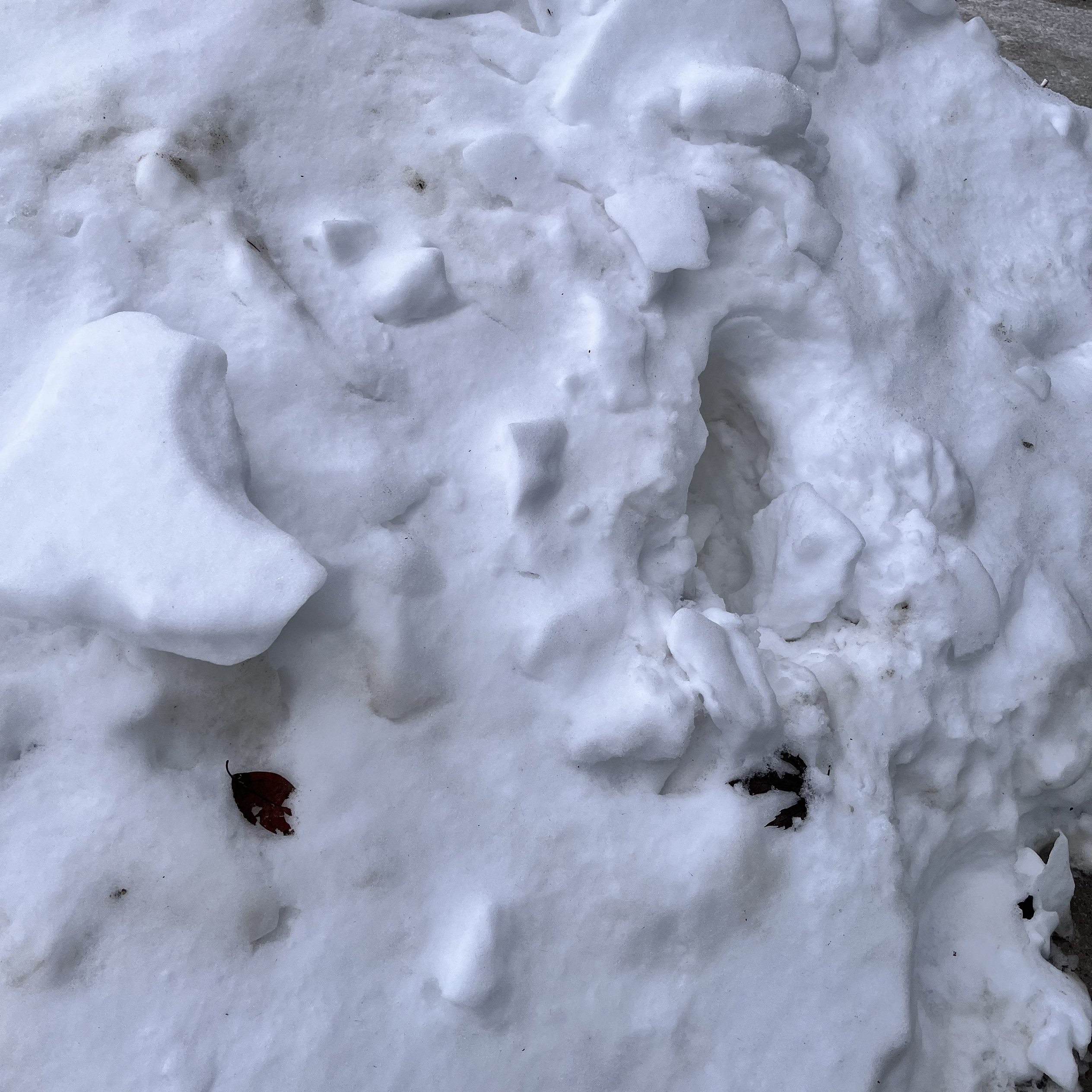 There was a lot of snow on the street, and when I stepped on it, it made a crunch sound, so I recorded it